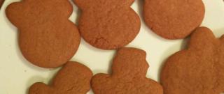 Gingerbread Cookie Mix in a Jar Photo