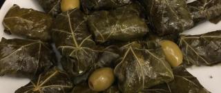 Grape Leaves Aleppo Photo