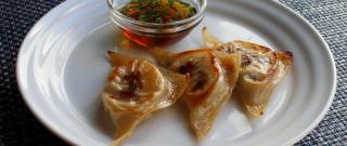 Spring Lamb Pan-Fried Dumplings Photo