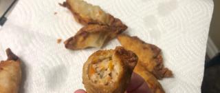 Grandma's Crispy Pork Wontons Photo