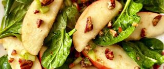 Apple Spinach Salad Photo