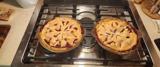 Blackberry Pie Photo