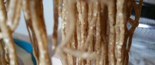 Gluten-Free Quinoa Noodles Photo