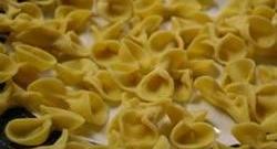 Plain Pasta Photo