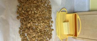 Roasted Pumpkin Seeds Photo