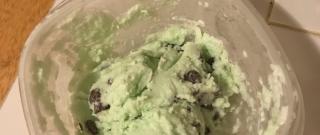 Easy Mint Chocolate Chip Ice Cream Photo