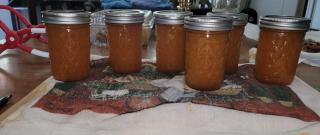 Nectarine Jam Photo