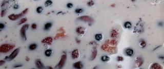 Almond Gelatin Photo