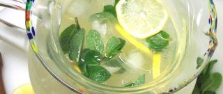 Peppermint Lemonade Photo