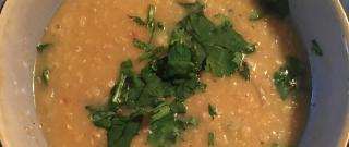 Lebanese-Style Red Lentil Soup Photo