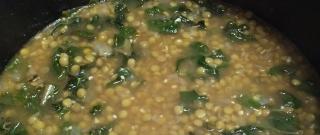 Lentil and Green Collard Soup Photo