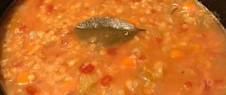 French Lentil Soup Photo