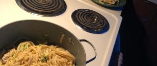 Chicken and Broccoli Alfredo Photo