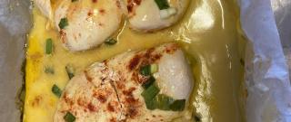 Cream of Chicken Breasts Photo