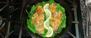 Cajun Blackened Catfish Photo