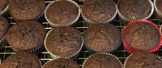 Chocolate Zucchini Muffins Photo