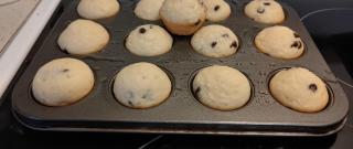 Chocolate Chip Mini Muffins Photo