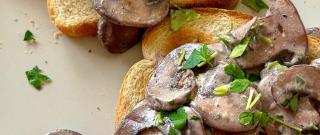 Red Wine and Mushroom Ragout Photo