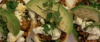 Mexican Tinga Photo