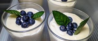 Easy Lemon Mousse Photo