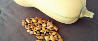 Roasted Winter Squash Seeds Photo