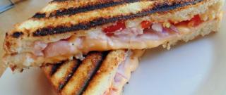 Basic Grilled Panini Photo