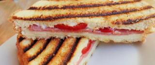 Grilled Panini Sandwich Without a Panini Maker Photo