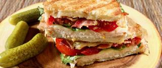 Best BLT Chicken Panini Photo