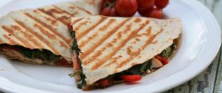 Healthy Greek Chicken Panini Photo