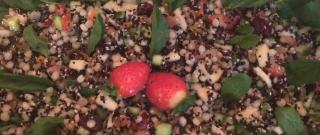 Pearl Couscous Salad Photo