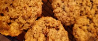 Oatmeal Raisin Cookies IX Photo