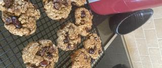 Whole Grain Breakfast Cookies Photo