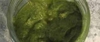 Basil Pecan Pesto Photo