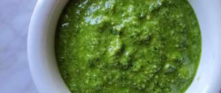 Sunflower Seed and Basil Pesto Photo