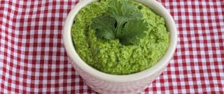 Cilantro Jalapeno Pesto with Lime Photo