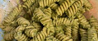 Presto Vegan Pesto Photo