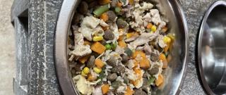 Homemade Dog Food Photo