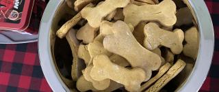 Super Simple Sweet Potato Dog Treats Photo