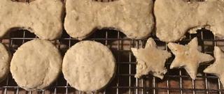 Best Friend Doggie Biscuits Photo