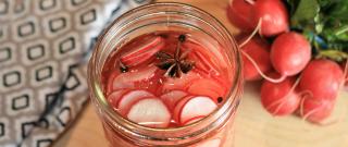 Quick Pickled Radishes Photo