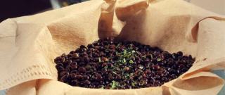 Skillet-Popped Lentils with Parsley Photo