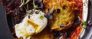 Rainbow Potato Pancakes with Harissa and Eggs Photo