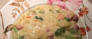 Potato, Ham, Broccoli, and Cheese Soup with Baby Dumplings Photo