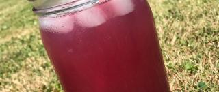 Cranberry Rum Punch Photo