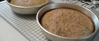 Poppy Seed Cake I Photo