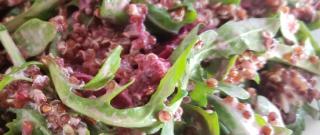 Quinoa, Beet, and Arugula Salad Photo