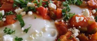 Shakshuka (Middle Eastern Baked Eggs) Photo