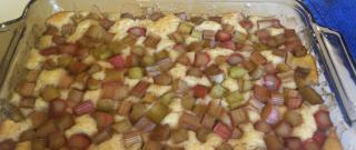 Rhubarb Pudding Photo