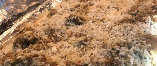 Shyam's Goat Biryani Photo