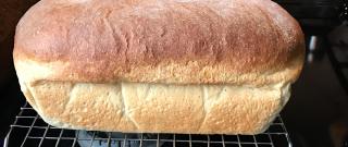 Buttermilk Honey Wheat Bread Photo